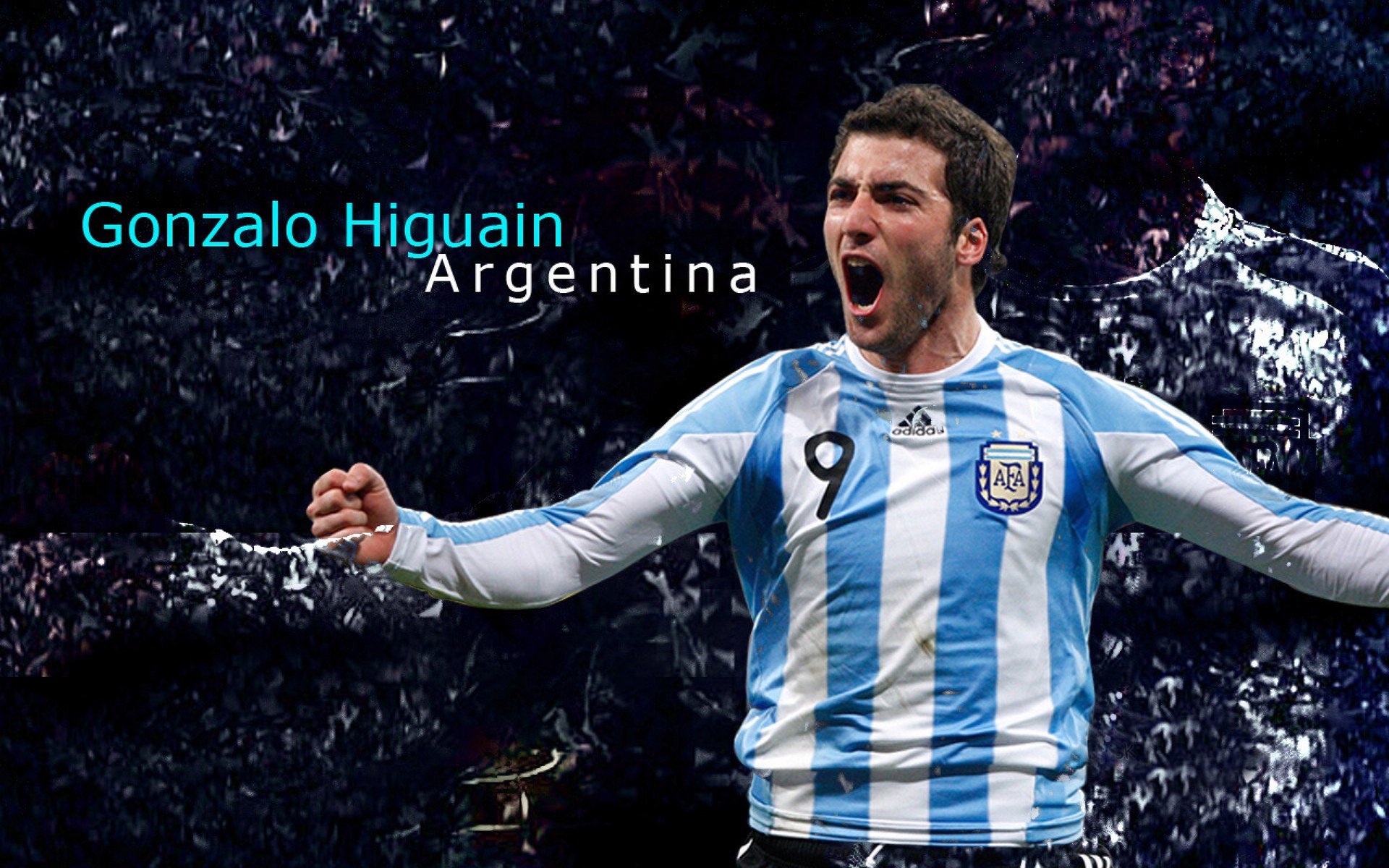 洛杉矶FC计划扩建主场,提升球迷体验,洛杉矶fc球衣